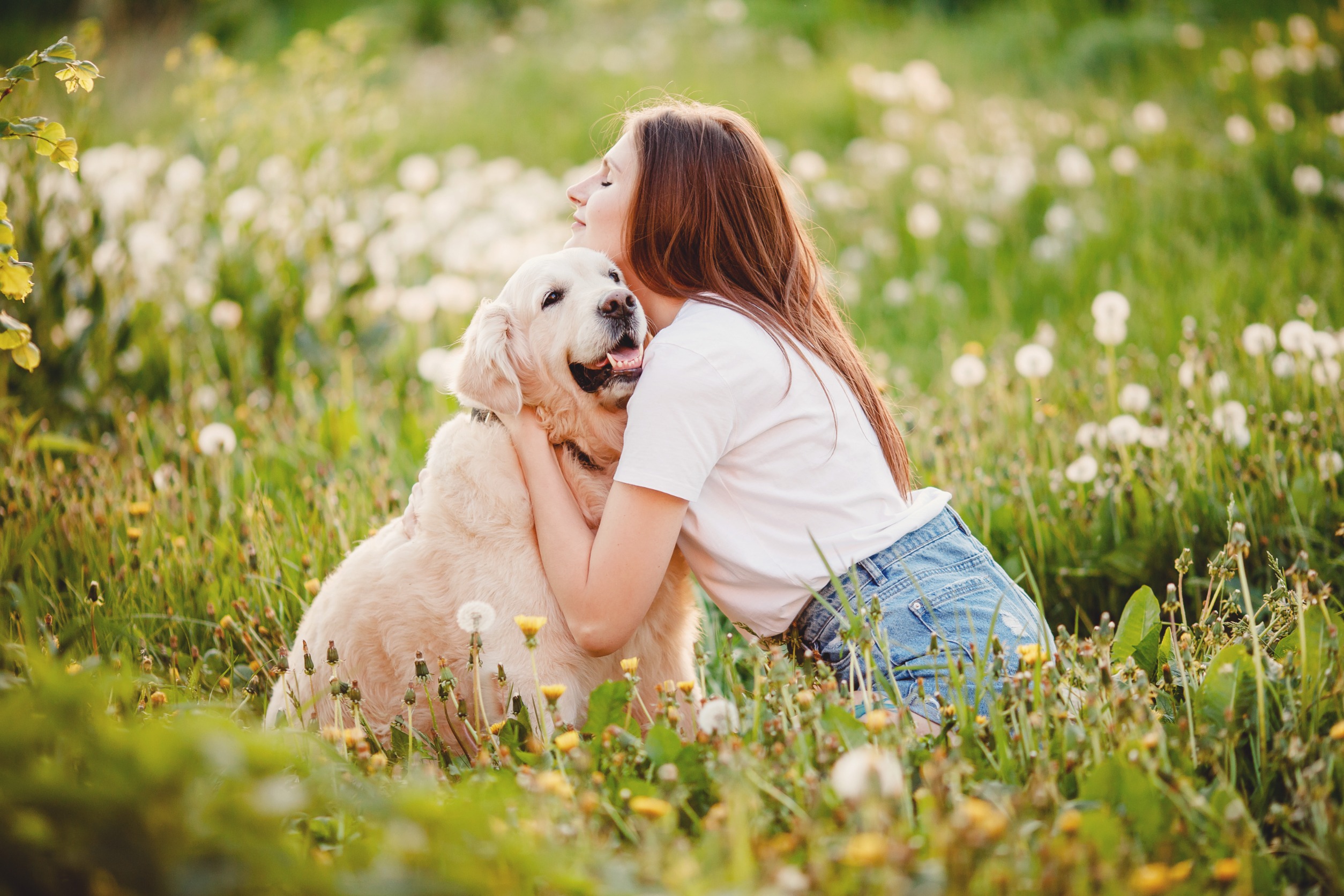Comment savoir si votre chien vous aime